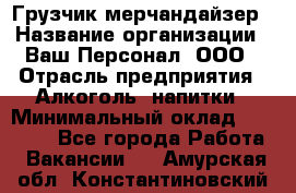 Грузчик-мерчандайзер › Название организации ­ Ваш Персонал, ООО › Отрасль предприятия ­ Алкоголь, напитки › Минимальный оклад ­ 17 000 - Все города Работа » Вакансии   . Амурская обл.,Константиновский р-н